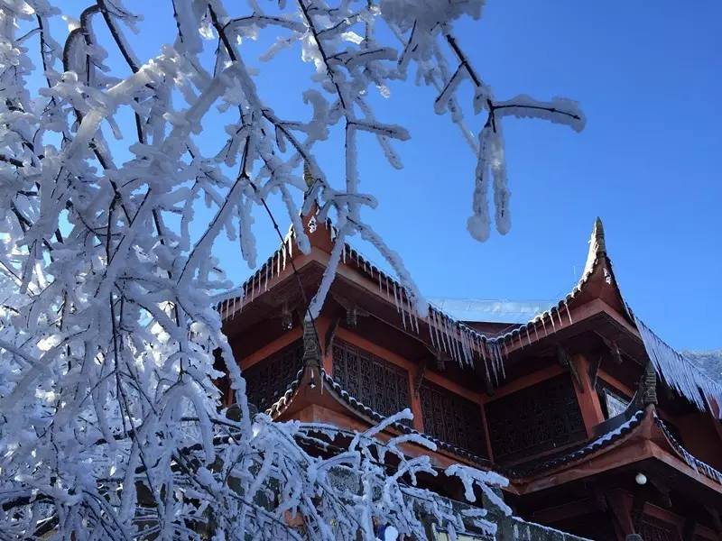 暖春与雪,矛盾在这里变得和谐 给峨眉山平添一番风光霁月的情怀