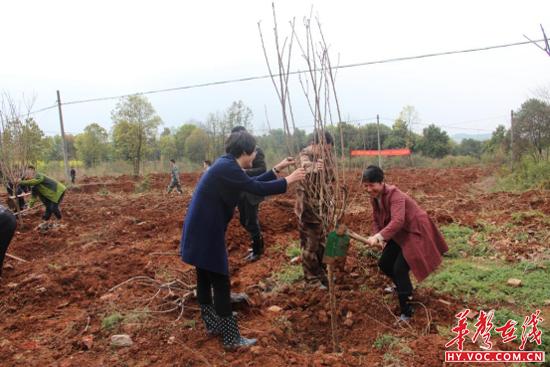 图为衡南县人大主任邱清燕,县委办主任李桂花,副县长,县公安局长张东