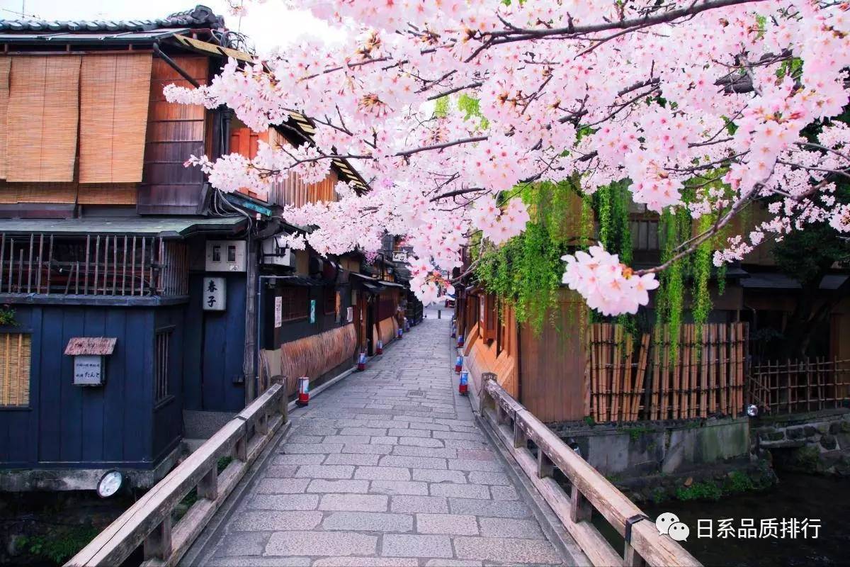 倘若在樱花盛开时节来到京都,不管在哪里,你都能闻到一股淡淡的花香