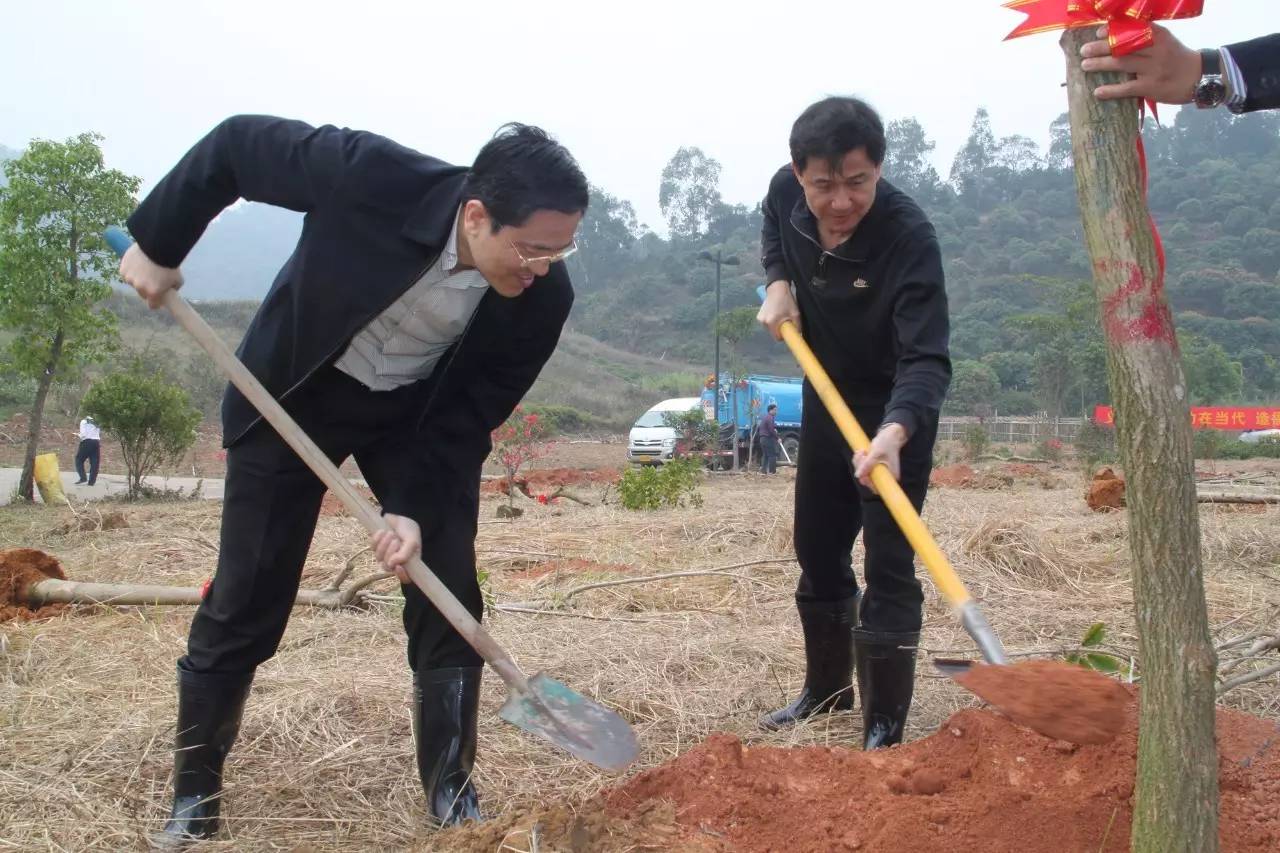 挥锹铲土,挖坑固苗,培土踩实,拎桶浇水,整个过程一丝不苟,各个环节