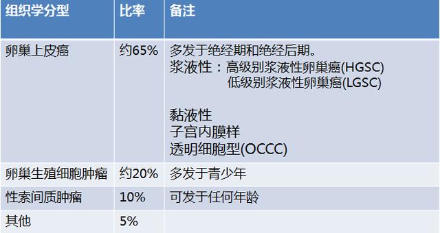 知己知彼 卵巢癌治疗专题之分期与治疗篇