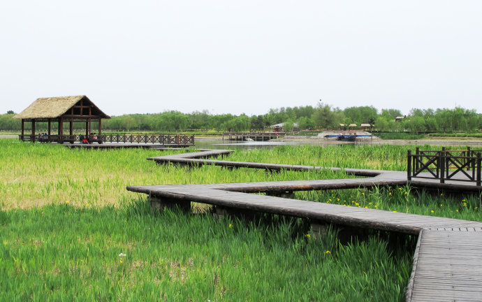 南海子公园是北京四大郊野公园之一,南海子历史上是北京最大湿地,是