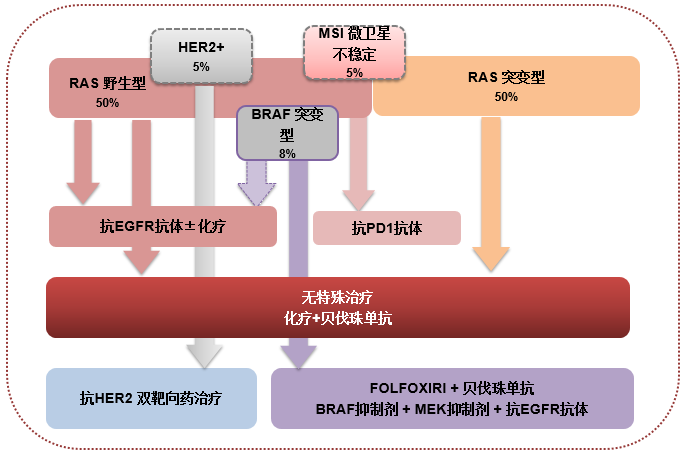 从标准到精准,优化结直肠癌化疗路在何方?