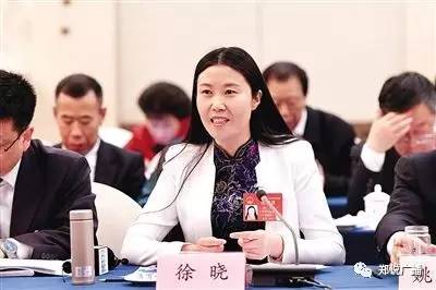 徐晓(全国人大代表,开封城摞城发展有限公司董事长,河南省女企业家