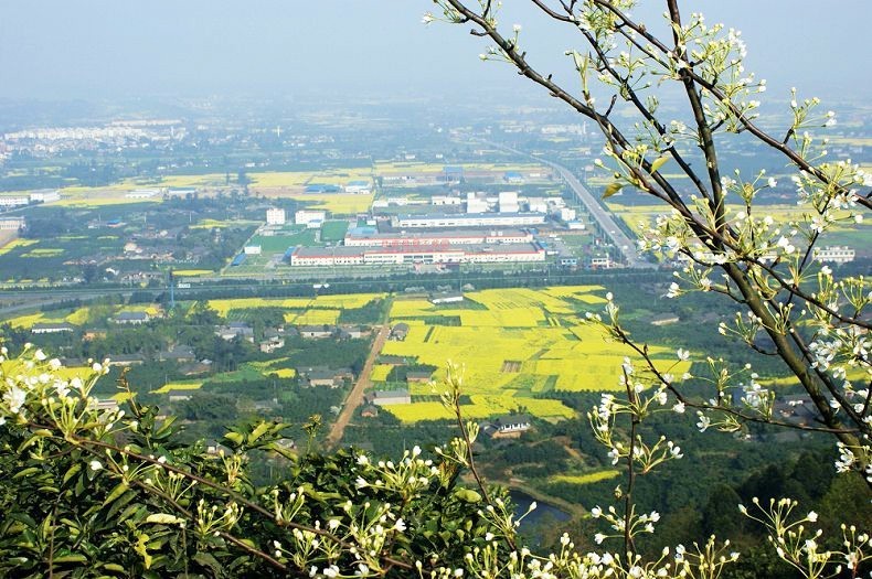 蒲江县人口_蒲江县地图