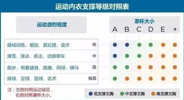 运动内衣尺码_运动内衣尺码对照表(3)