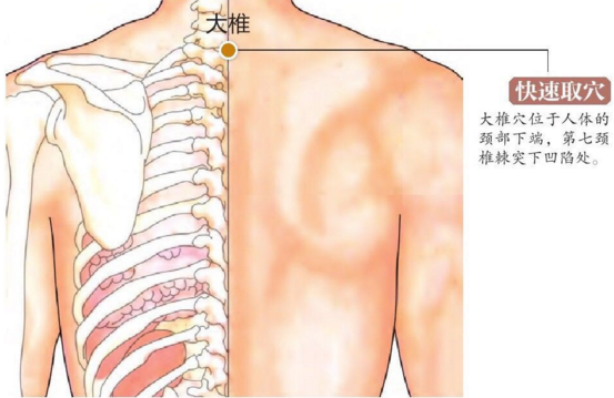 【取穴位置】   在腹中部,脐中央,即肚脐.