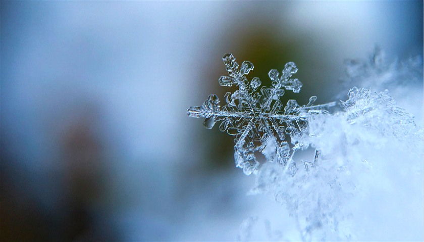 吕剧借年大雪飘飘简谱_吕剧借年图片(3)