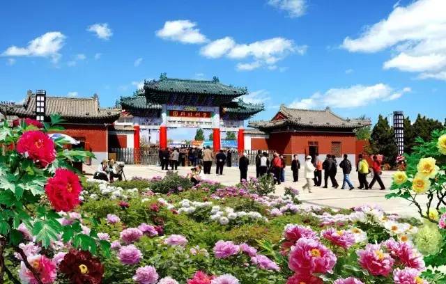 定了,今年菏泽牡丹文化旅游节4月12日开幕,赏花景点都