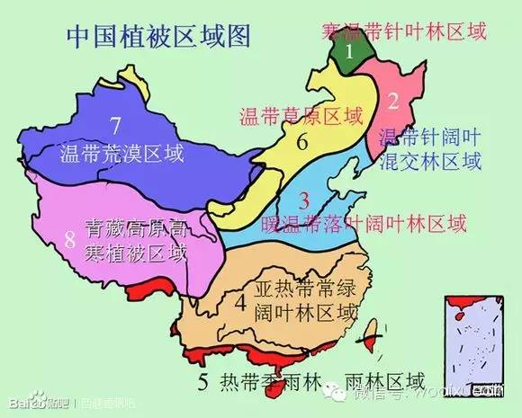 你知道中国的三大林区吗?最大的天然林区是哪里? 2.