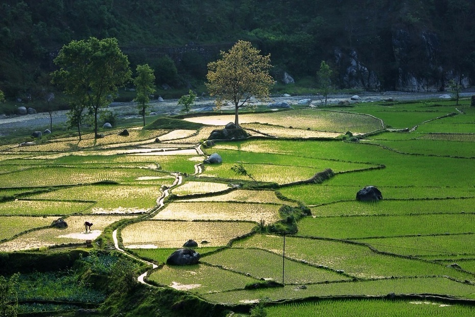 农村人口地_农村地锅灶台图片