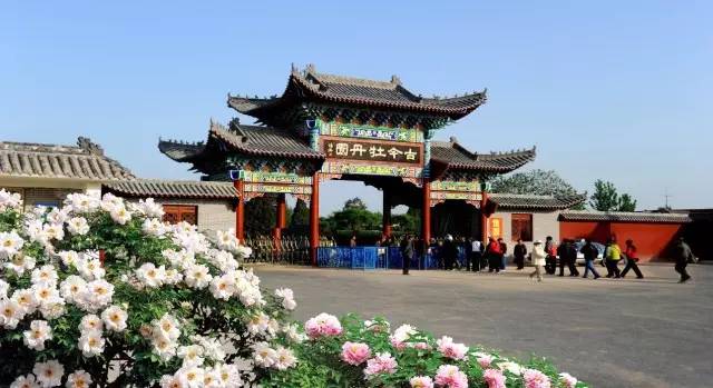 定了,今年菏泽牡丹文化旅游节4月12日开幕,赏花景点都在这里啦!