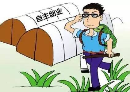 农村人口补贴_六种农村补贴发放,快来看看有没有你的份儿