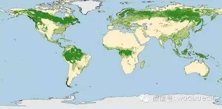 世界上最大的热带雨林气候区在哪个国家?图片