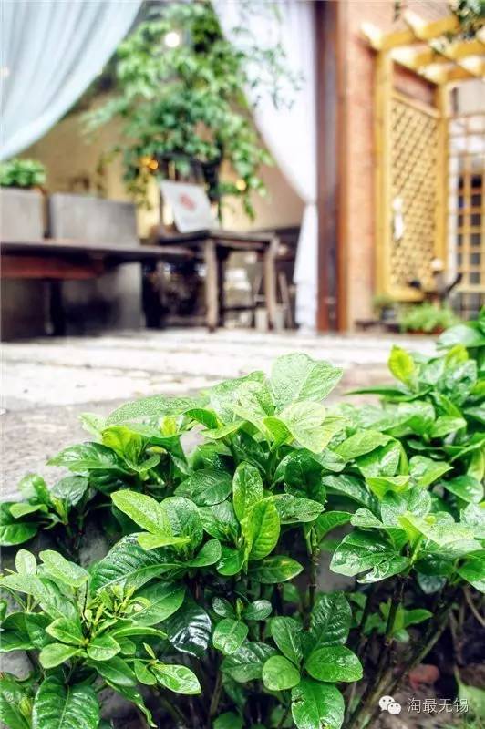 雨天也有雨天的滋味,无锡那些最美的喝茶地推荐!