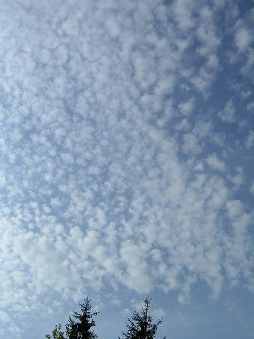 卷积云(cc cirrocumulus:似鳞片或球状细小云块.