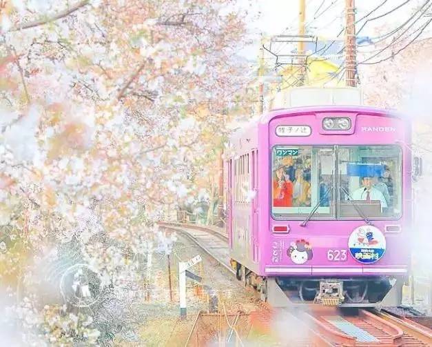 正式进入樱花季前1月,日本各地樱花鉴赏参考!