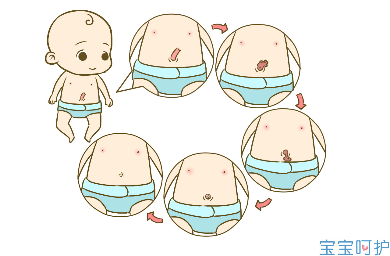 婴儿脐带多久脱落正常（新生儿的脐带护理）-幼儿百科-魔术铺
