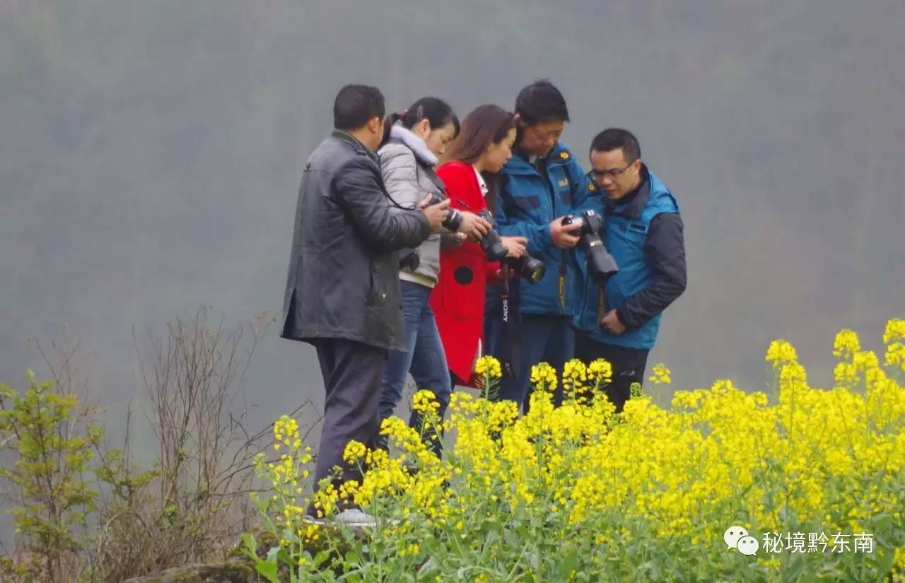 麻江县多少人口_麻江县瑶族女人(3)