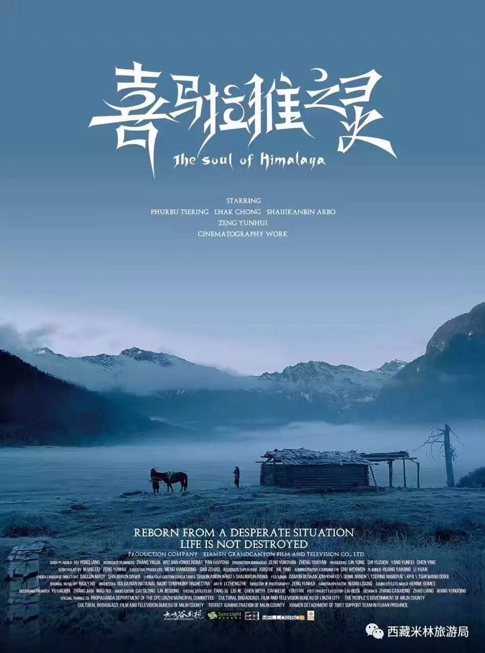 西藏的这部电影入围2017世界民族电影节了,快