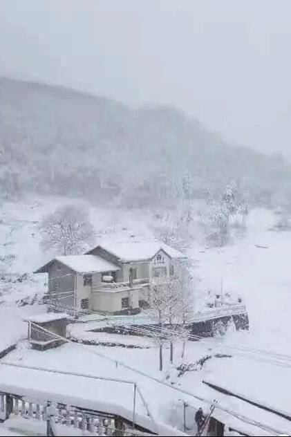 湖北"一秒回冬天"! 朋友圈被宜昌襄阳十堰神农架的大雪刷屏了