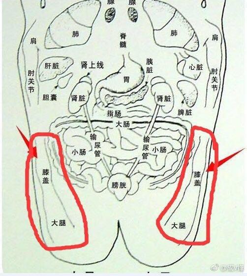 要长高怎么办