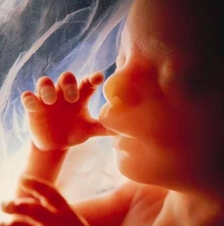 孕期20周胎儿发育特点及孕妈护理重点