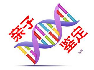 DNA亲子鉴定可以去哪里做?