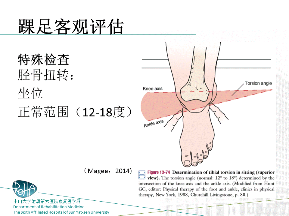 踝关节与足部的物理评估
