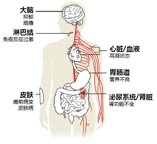 人口现代型指_人口普查