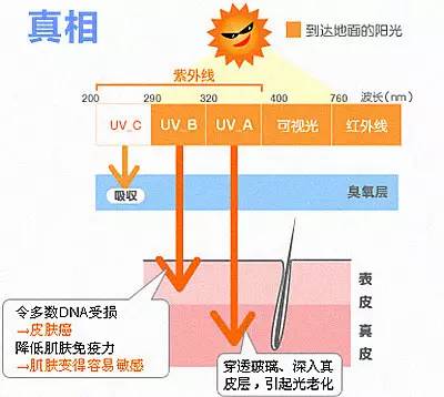 涂防晒霜要不要卸妆?可能你一直在摧残自己的皮肤!!-搜狐