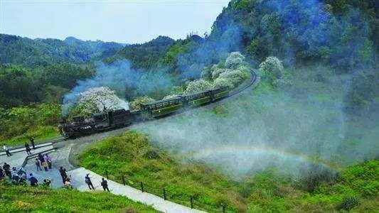 成都春天最浪漫的事,就是坐这趟开往花田的嘉阳小火车