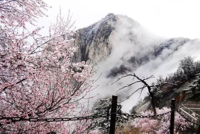 一起跟小编欣赏秦岭最美雪景喽