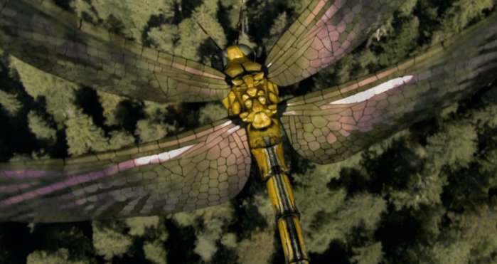 史前最大的蜻蜓让现代的蜻蜓汗颜