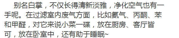 卧室摆上一盆它，简直是天然空气净化器！太省钱了~