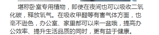 卧室摆上一盆它，简直是天然空气净化器！太省钱了~