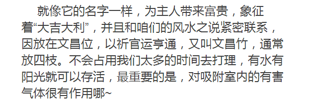 卧室摆上一盆它，简直是天然空气净化器！太省钱了~