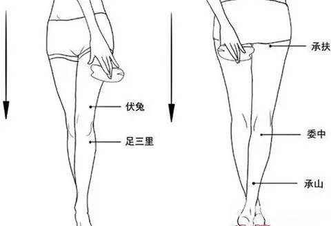 这才是改善肌肉型小腿的正确打开方式