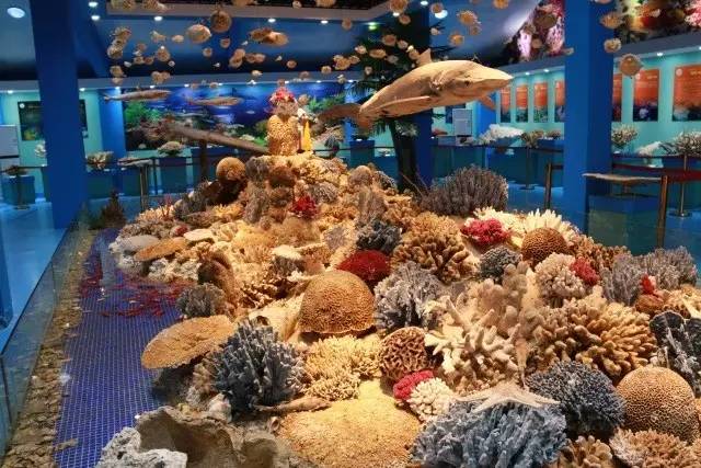 【崇明景点】长兴岛郊野公园珊瑚馆参观记