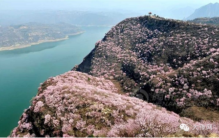 洛阳紫荆山