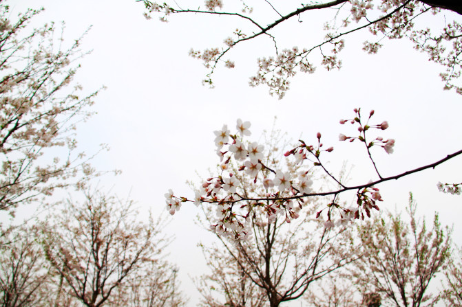 描写南昌凤凰沟的春天的句子
