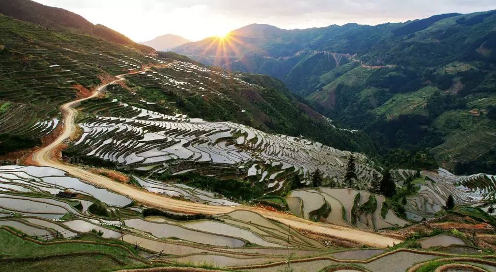 犁头山村人口_犁头草图片(3)