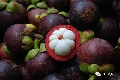 去海南旅游必须吃的十五种水果,没吃就白去了