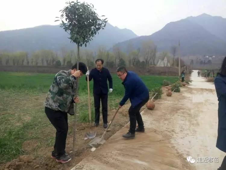 户县人口有多少_户县离兴平有多远地图(2)