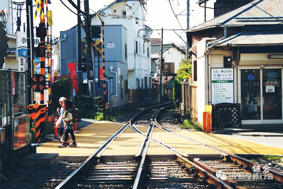 路书招募|春天,up带你去日本邂逅比樱花更美的花海