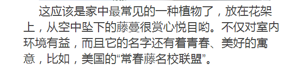 卧室摆上一盆它，简直是天然空气净化器！太省钱了~