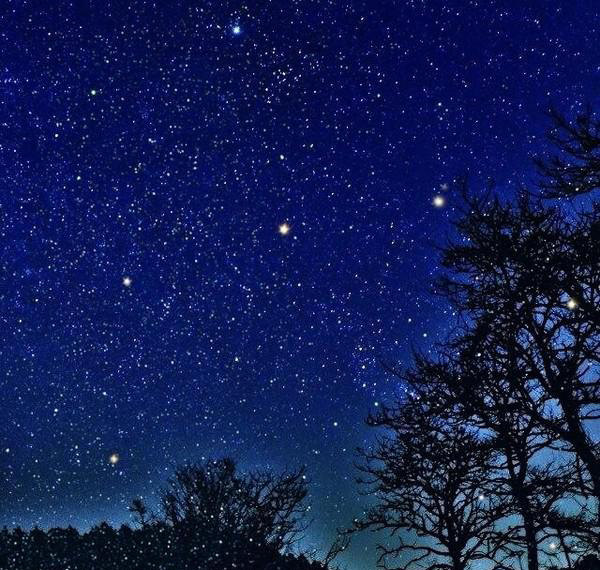 抬头望向头顶的天空,发现繁星点点,这么多星星看一会眼都晕了,到底那