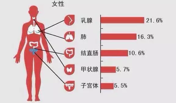 健康 正文  数 据 据数据调查发现,我国乳腺癌的发病率仅次于宫颈癌