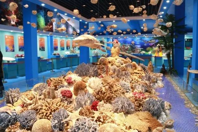 【崇明景点】长兴岛郊野公园珊瑚馆参观记