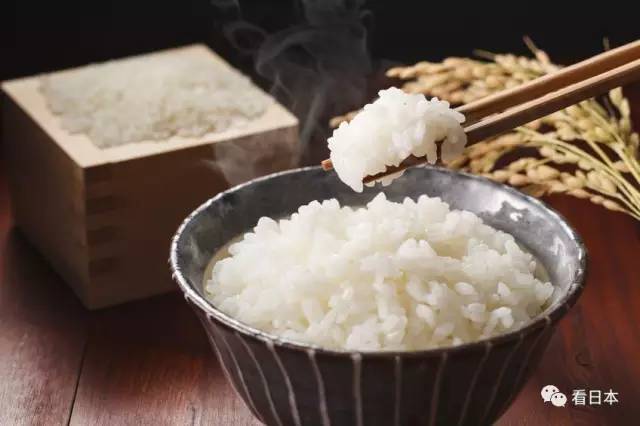日本人会在早晨吃白米饭,它是日本人吸收碳水化合物的主要来源了.